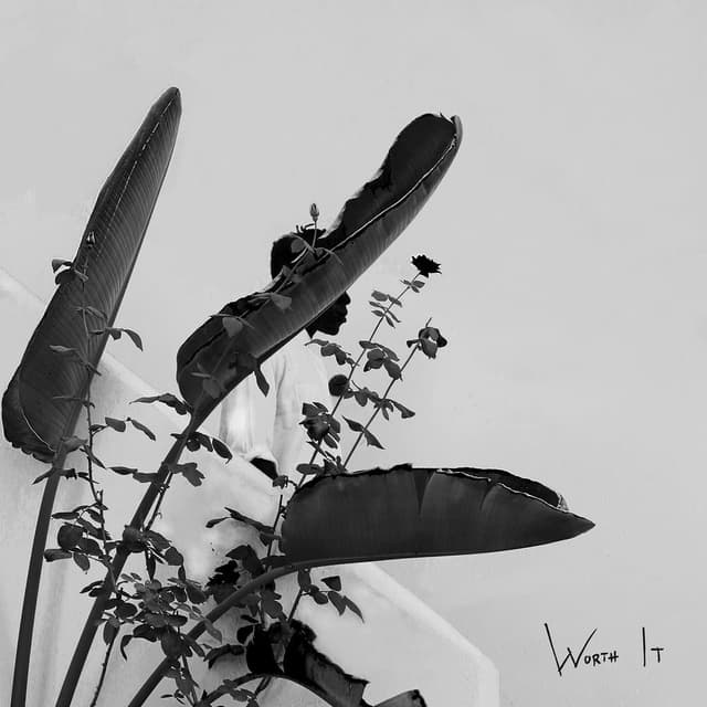 Worth It cover