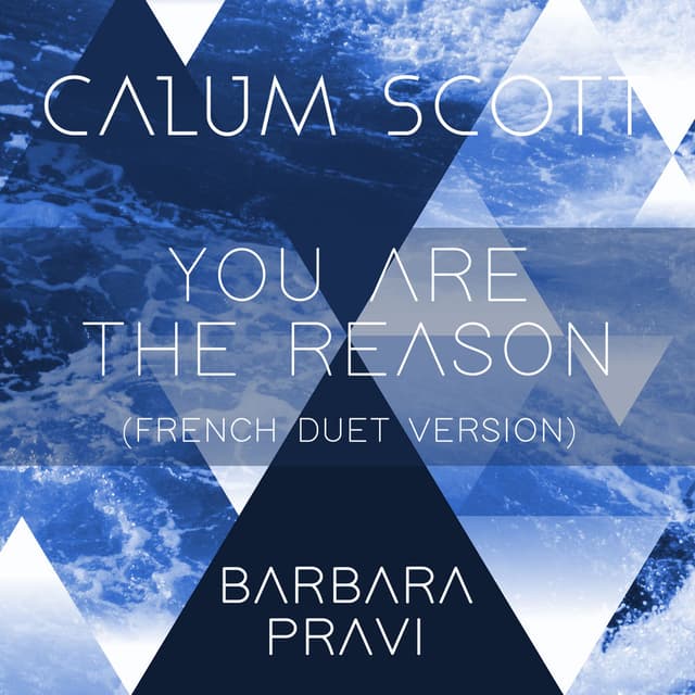 You Are The Reason (French Duet Version) cover