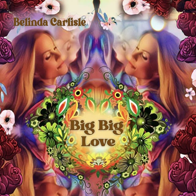 Big Big Love cover