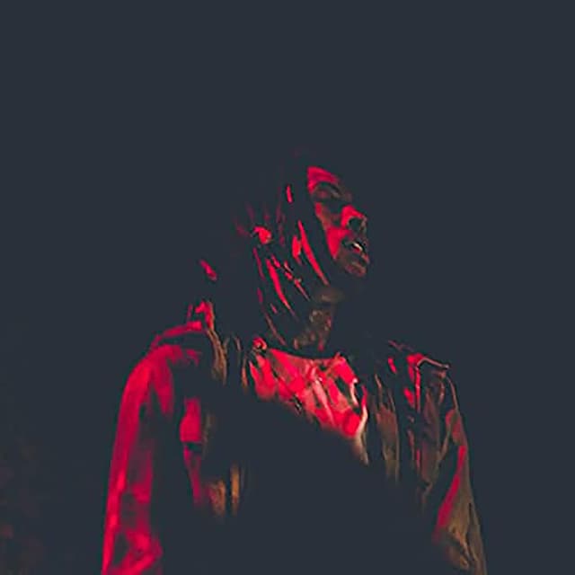 Art of Destruction cover