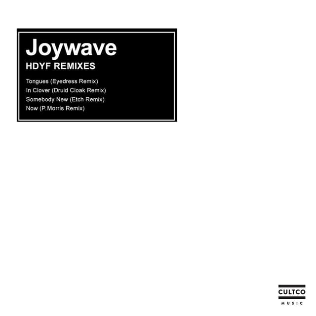 HDYF REMIXES cover
