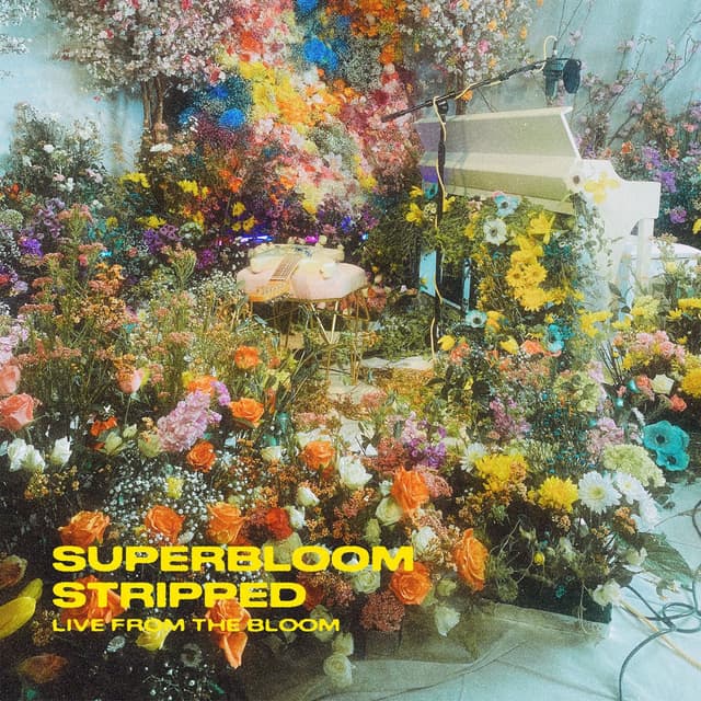 SUPERBLOOM (stripped) (live from the bloom) cover