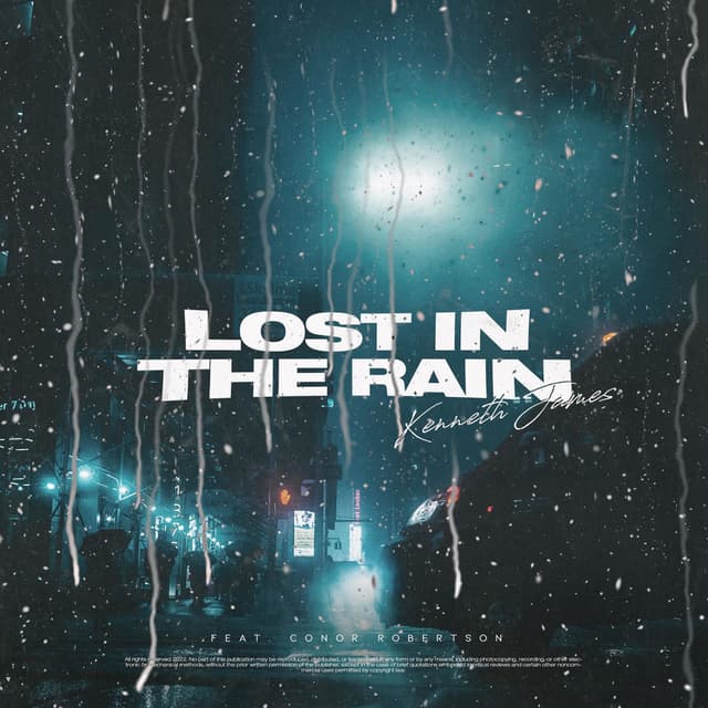 Lost In The Rain album cover