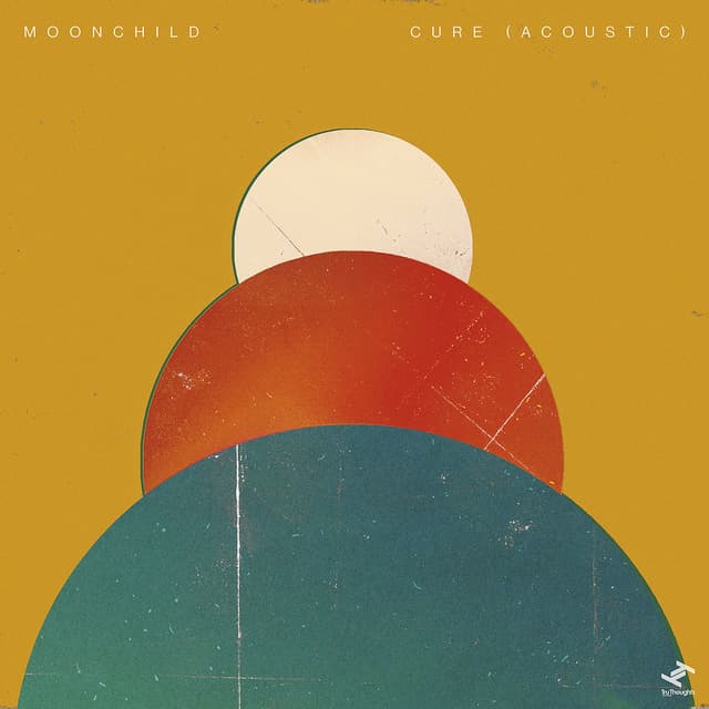 Cure (Acoustic) cover