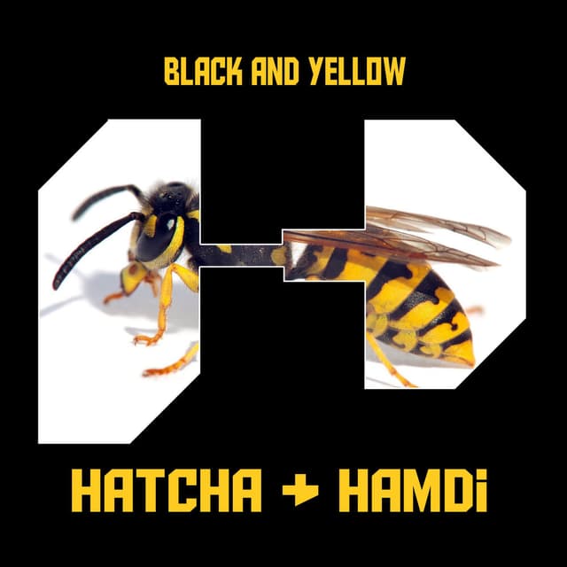 Black and Yellow cover