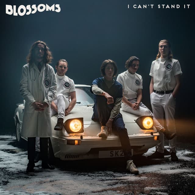 I Can't Stand It cover