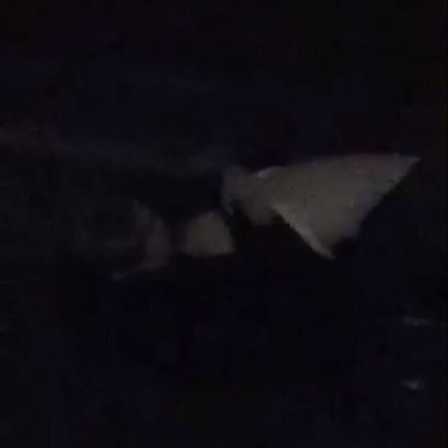 FridayNights cover