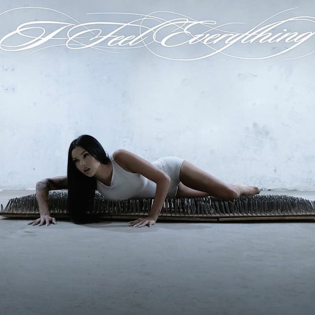 i feel everything album cover