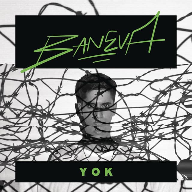 Yok cover