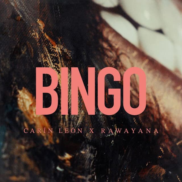 Bingo cover