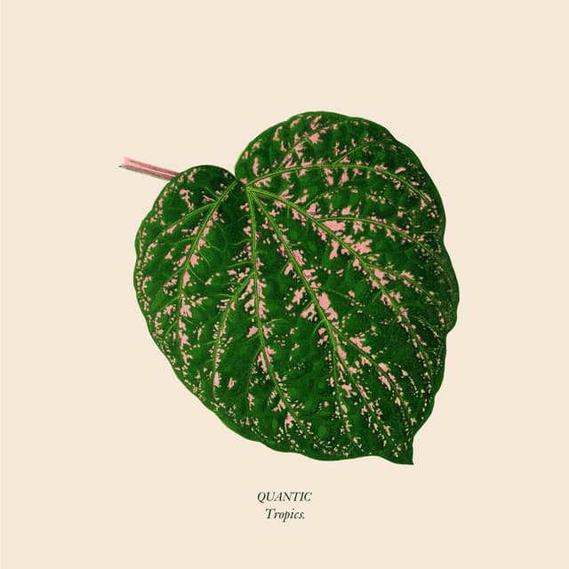 Tropics cover
