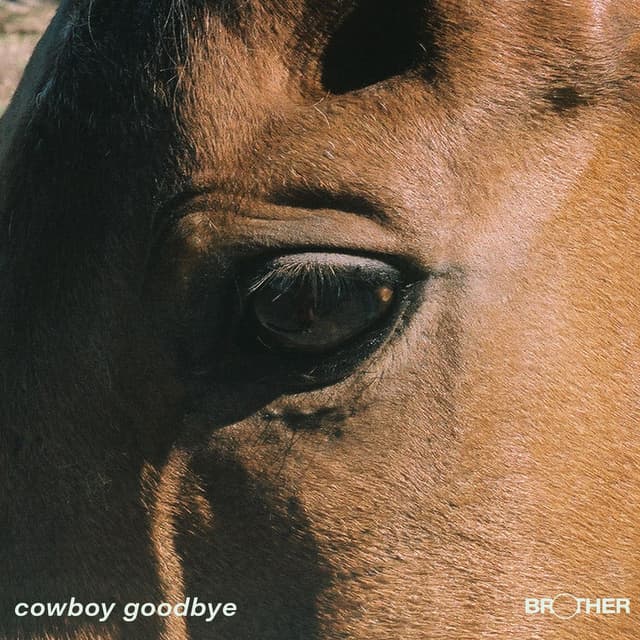 Cowboy Goodbye cover
