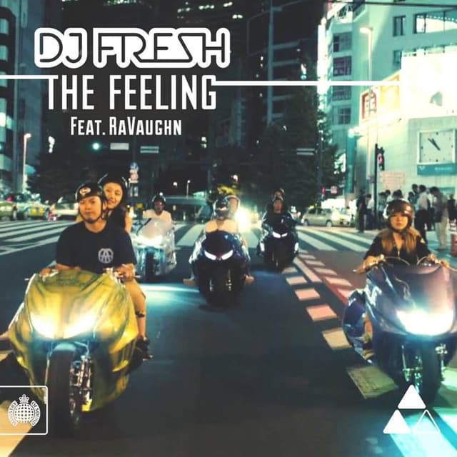 The Feeling (feat. RaVaughn) cover