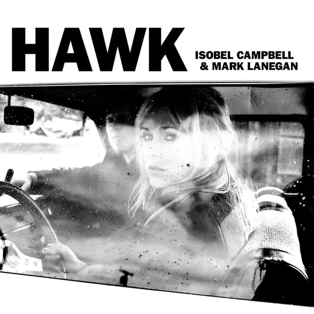 Hawk cover