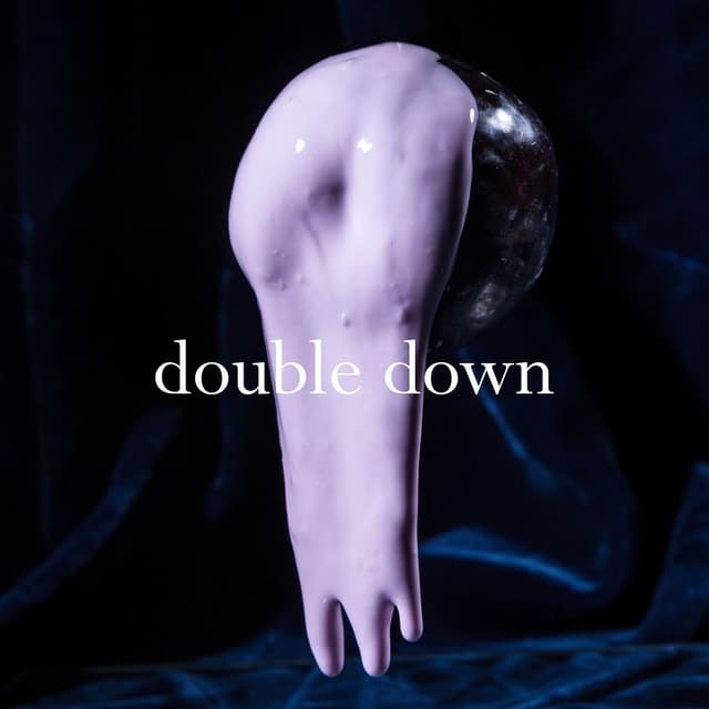 Double Down cover