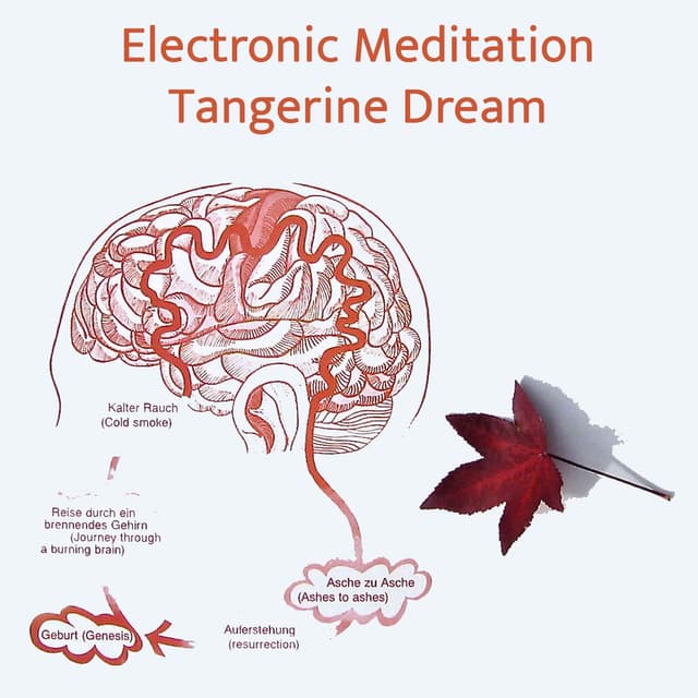Electronic Meditation album cover
