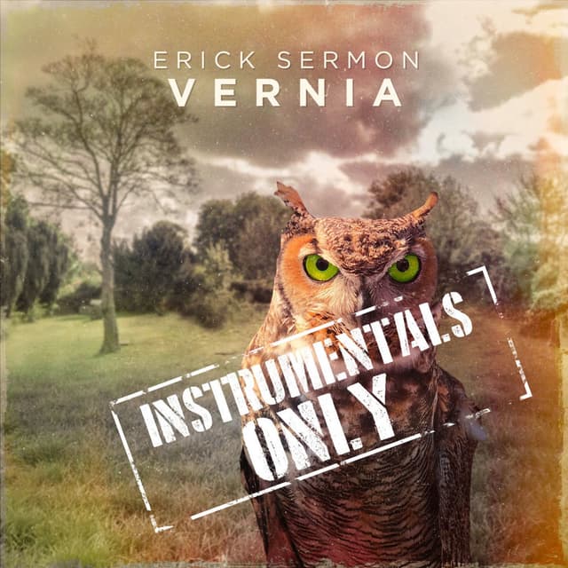 Vernia (Instrumentals Only) cover