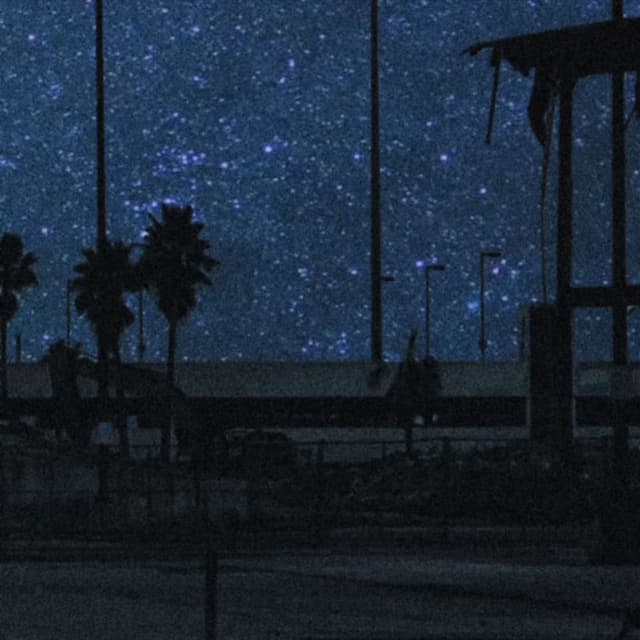 FLOURISH II DELUXE cover