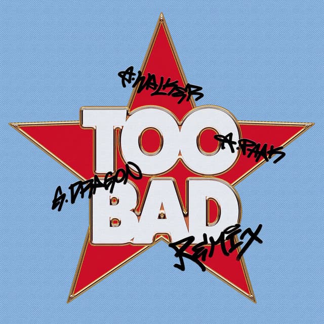TOO BAD – Alan Walker Remix cover
