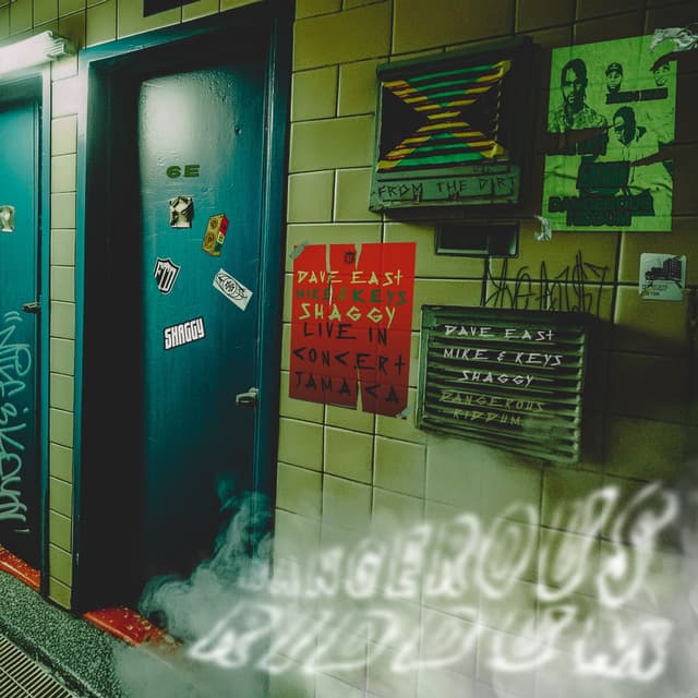 DANGEROUS RIDDUM (feat. Shaggy) (Radio Edit) cover