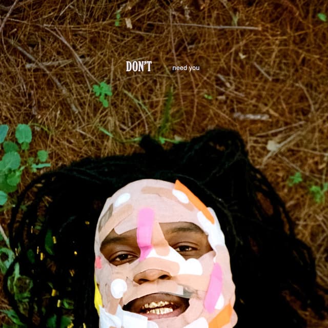 Don't Need You cover