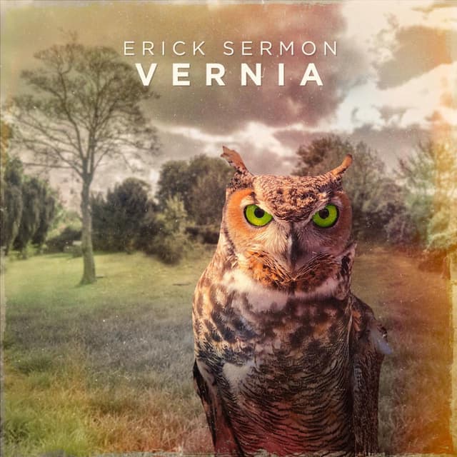 Vernia cover