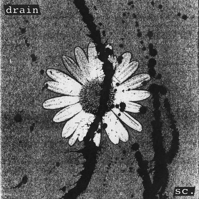 Drain cover