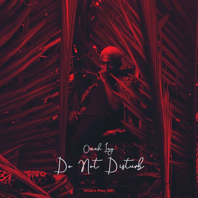Do Not Disturb cover
