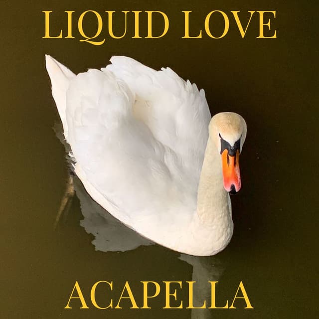 Liquid Love (Acapella) cover