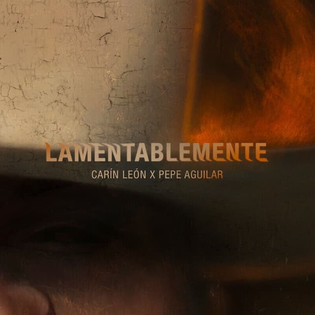 Lamentablemente cover