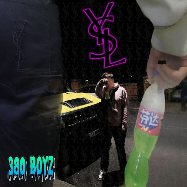 YSL cover