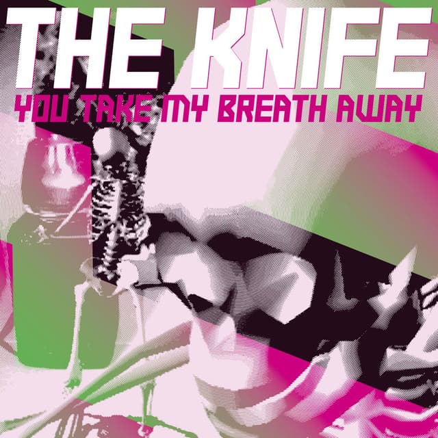 You Take My Breath Away (Remixes) cover