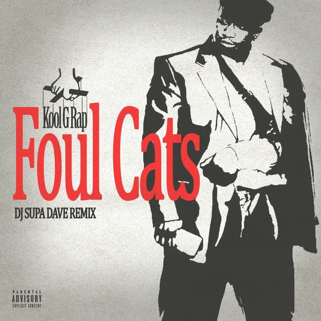 Foul Cats (DJ Supa Dave Remix) cover