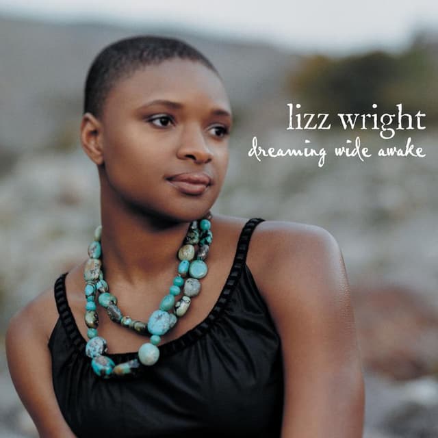 Dreaming Wide Awake album cover