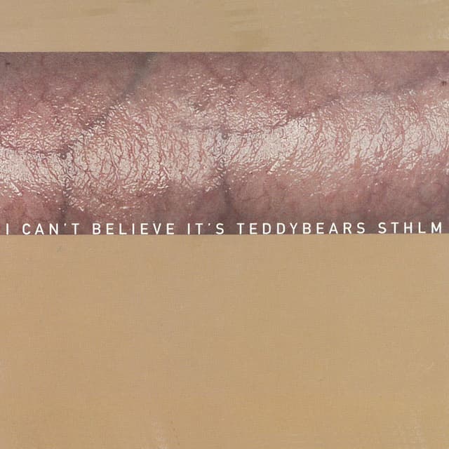 I Can't Believe It's Teddybears STHLM cover