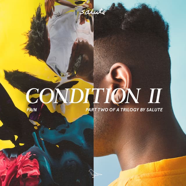 Condition II cover