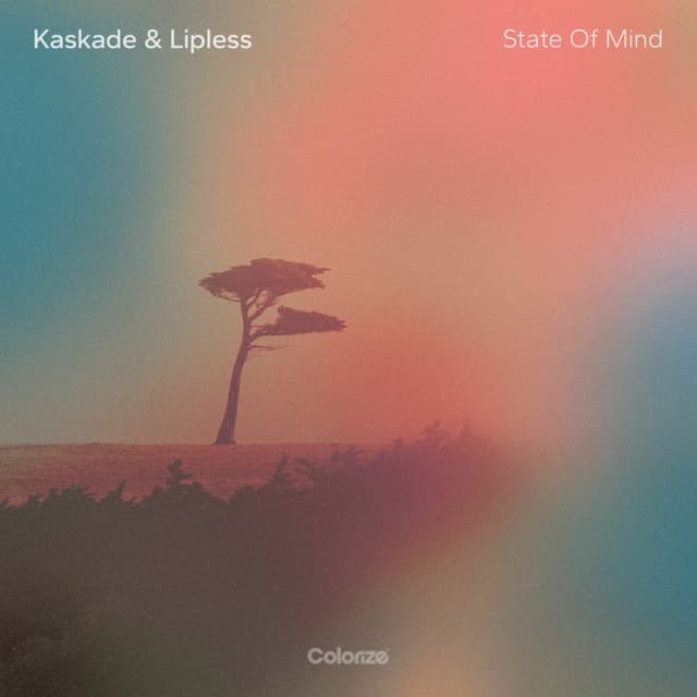 State Of Mind cover