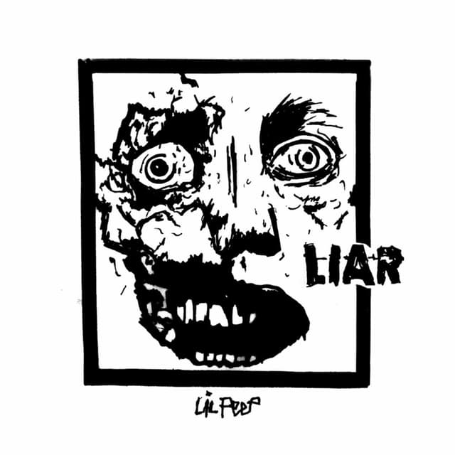 Liar cover