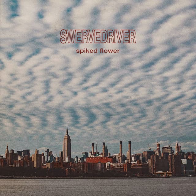 Spiked Flower album cover