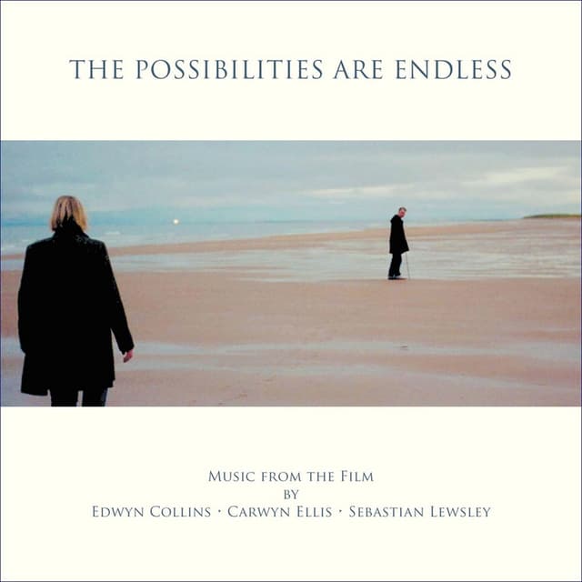 The Possibilities Are Endless cover
