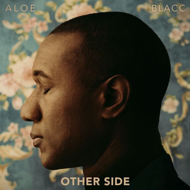 Other Side cover