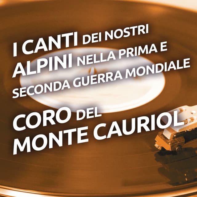 I canti dei nostri alpini nella prima e seconda Guerra Mondiale cover