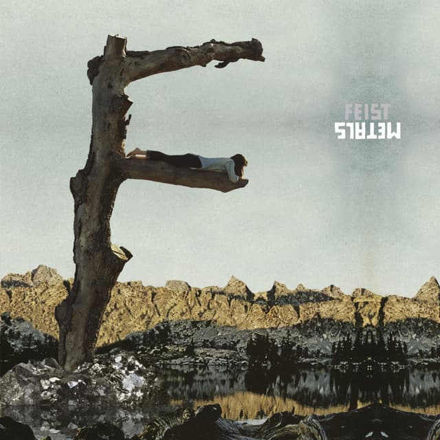 Metals cover