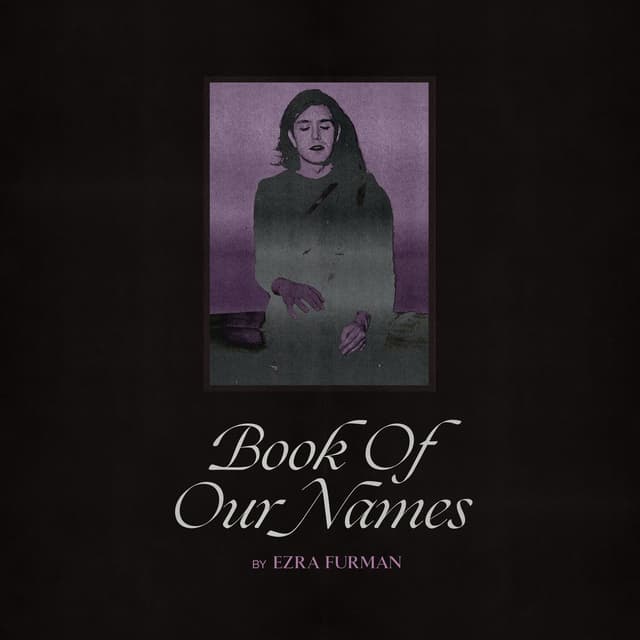 Book Of Our Names cover