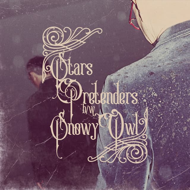 Pretenders / Snowy Owl cover