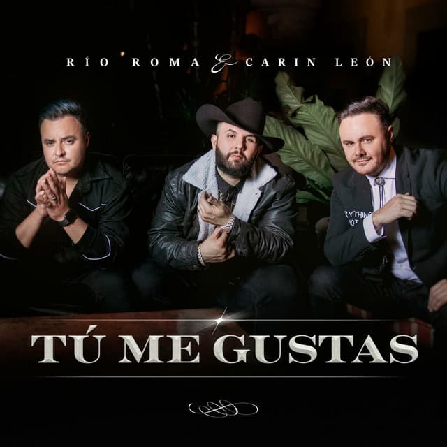Tú Me Gustas cover