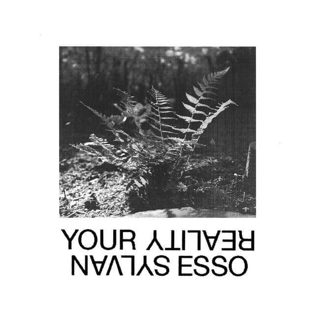 Your Reality cover