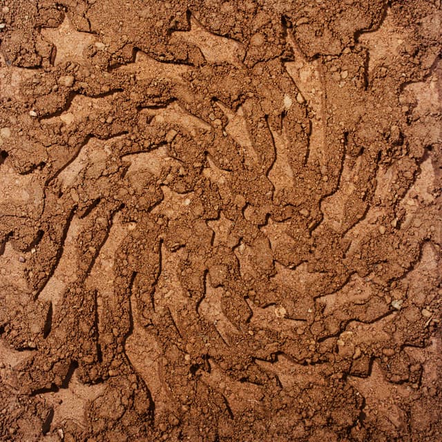 CD-R (unerthed) album cover