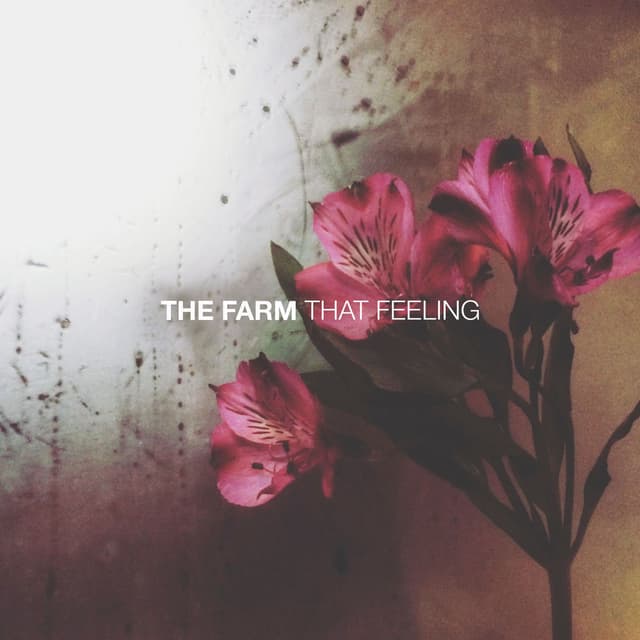 That Feeling cover