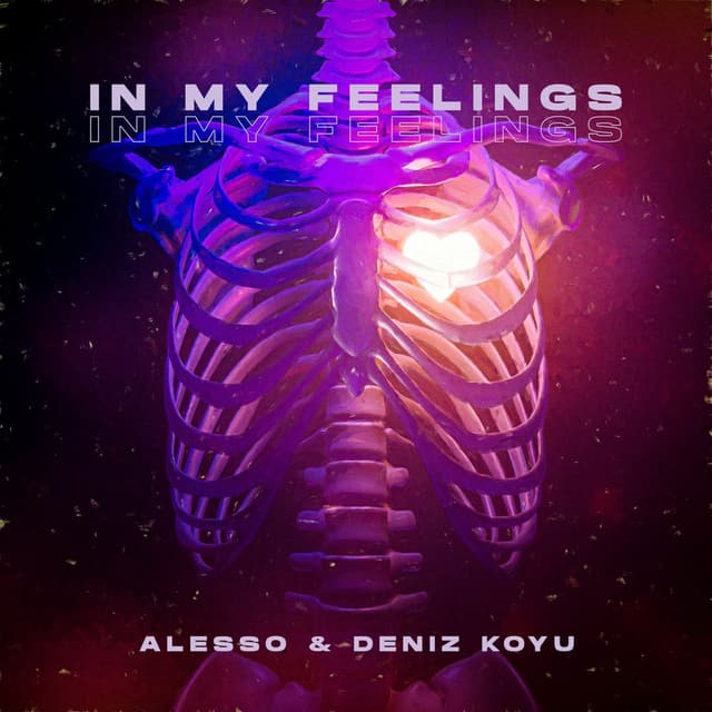In My Feelings cover